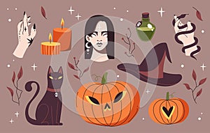 Collection of halloween magical attributes. Witch set: hat, pumpkin, black cat, vial of poison, hand with snake and