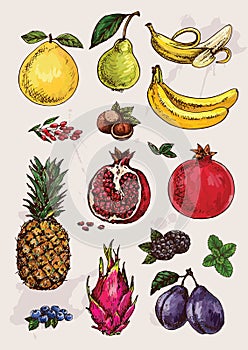 Collection of hand drawing fruits
