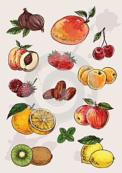 Collection of hand drawing fruits