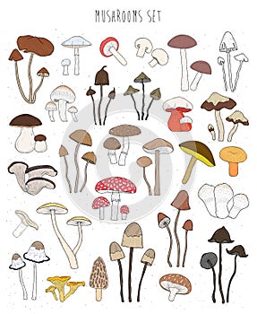 Collection of hand drawn colorful mushrooms. Set isolated edible