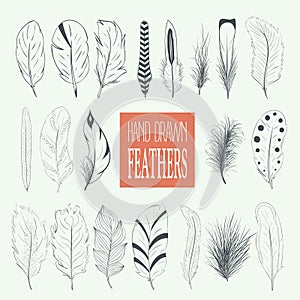 Collection Of Hand Drawn Feather. Boho Style