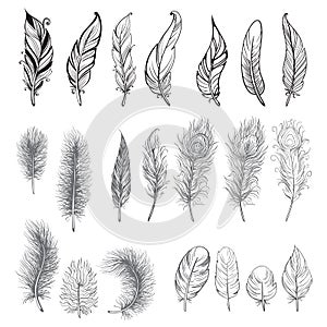 Collection of hand drawn feather. photo