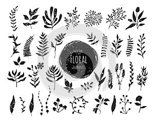 Collection of hand drawn floral elements