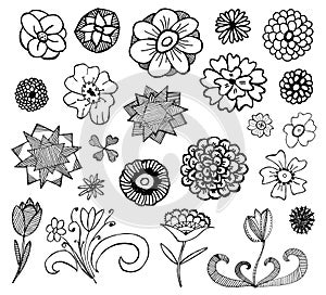 Collection of hand drawn flowers