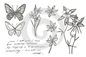 Collection of hand drawn flowers and plants. Botany. Set. Vintage flowers. Black and white illustration in the style of