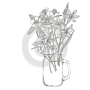 Collection of hand drawn flowers and plants. Botany. Set. Vintage flowers. Black and white illustration in the style of