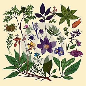 Collection of hand drawn herbs and flowers. Botanical vector illustration. Generative AI