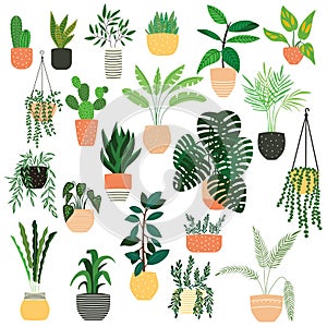 Collection of hand drawn indoor house plants on white background. Collection of potted plants. Colorful flat vector