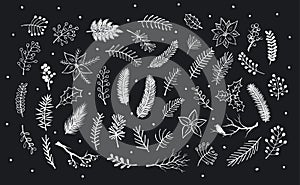 Collection of hand drawn outlined and silhouettes winter foliage, branches twigs, flowers