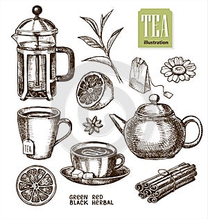 Collection of hand drawn sketches on the theme of tea.
