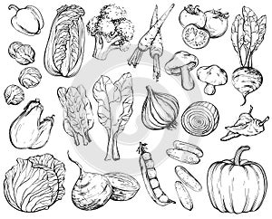 Collection of hand-drawn vegetables, black and white.