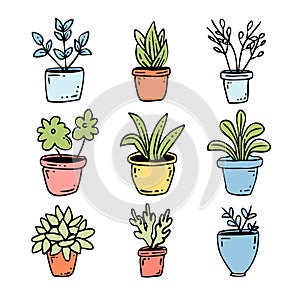 Collection handdrawn potted plants, colorful planters, houseplants doodle. Indoor gardening photo