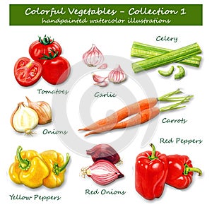 Colorful Vegetables - Collection 1 - Handpainted watercolor illustrations