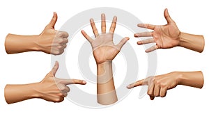 Diverse Hand Gestures on White Background