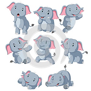 Collection of happy elephant with various posing