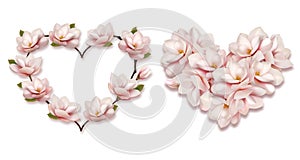 Collection of hearts collected from pink magnolia flowers isolated on a transparent background.