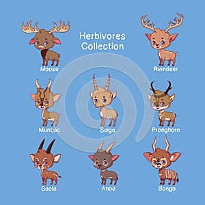 Collection of herbivore animals with name text