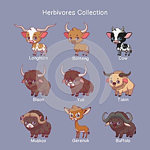 Collection of herbivores with name text photo