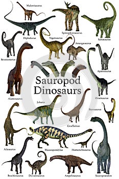 Sauropod Dinosaurs Collection photo