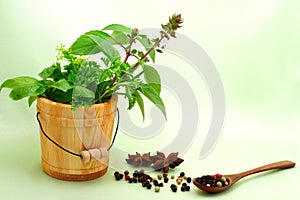 Collection of herbs with peppercorn