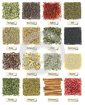 Collection of herbs and spices