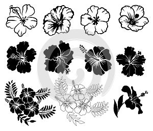 Collection of Hibiscus flower silhouettes, outlined vetor illustration