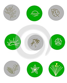 Collection of Highlights story icons for social media. Round vector composition with flowers and alchemy, boho signs