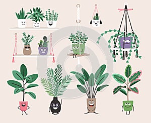 Collection of Home plants in flower pots with eyes. Houseplants in trendy hygge style. Urban jungle decor set