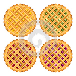 Collection of homemade fruit and berry pies. vector