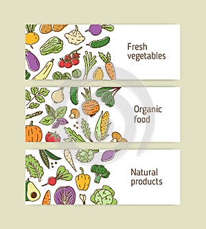 Collection of horizontal line art banners with organic healthy vegetables and greens. Set of colorful backgrounds with