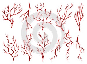 Collection of human veins. Red silhouette vessels, arteries or capillaries on white background. Concept anatomy element