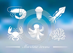 Collection of icons of sea inhabitants in flat style on the Colorful background with defocused lights