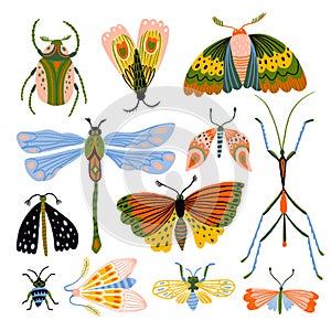 Collection of insects. Butterflies, dragonflies and beetles isolated in the white background.