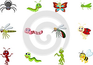 Collection of insects cartoon for you design