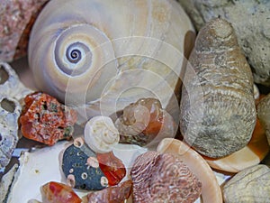 Collection of interesting sea shells and gemstones from three seas.