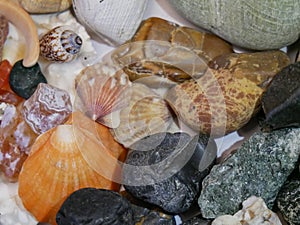 Collection of interesting sea shells and gemstones from three seas.