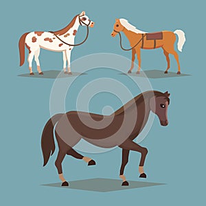 Collection of isolated horses. Cute cartoon horse farm animals.