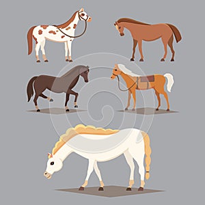 Collection of isolated horses. Cute cartoon horse farm animals. Differend breads