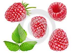 Collection of isolated raspberry fruits, isolated on white background