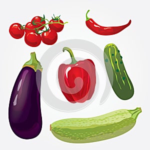 Collection of isolated ripe vegetables
