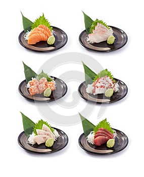 Collection of Japanese Sashimi photo