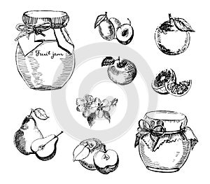 Collection of jar of jam with plum, apple, jam with pear and orange. Vector hand drawn sketch illustration.Fruit jam.