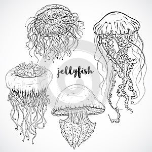 Collection of jellyfish. Vintage set of black and white hand drawn marine fauna. vector illustration