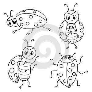 Collection ladybugs. Funny small insect. Vector illustration. Outline drawing. Isolated doodles ladybird for design