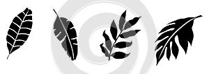 Collection of leaf vector. abstract vector illustration.