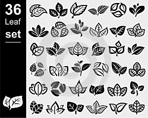 Collection leafs set. Leafs collection icon. Vector