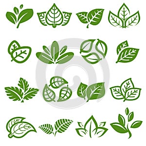 Collection leafs set. Leafs collection icon. Vector