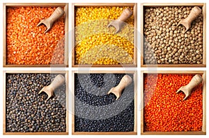 Collection of lentils