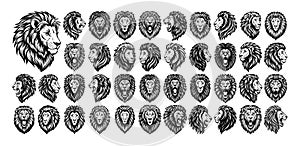 Collection of lion head illustration design