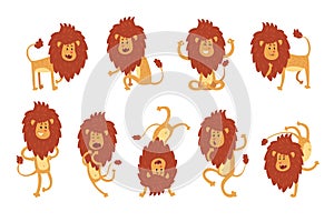 Collection of lion in various poses. Cartoon character of wild African animal. Big strong predator. Zoo theme. Flat